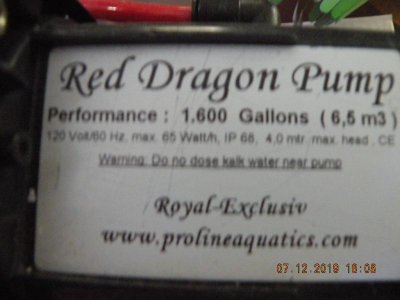 DSCN3915.jpg