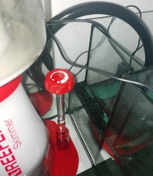 20190716_152003~2.jpg