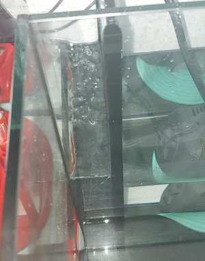 20190716_151844~2.jpg