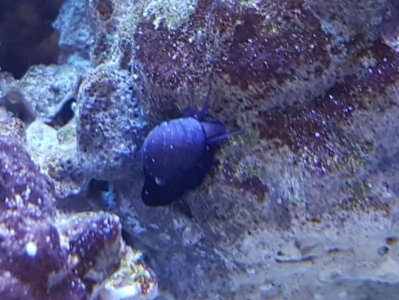 20190314_141829.jpg