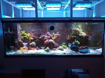 FTS_Mar05.jpg