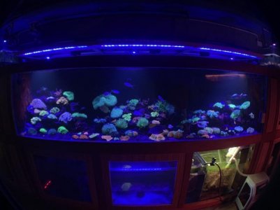 3201552899407_.pic_hd.jpg