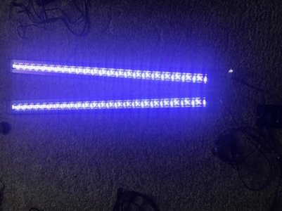 LED lights.jpg