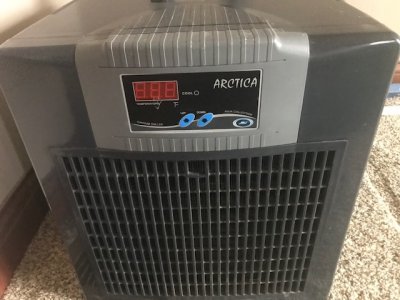 chiller 1.jpg