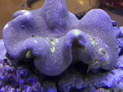 9B47CAC2-C884-46F1-AFBD-8FDC7EB43FC0.jpg