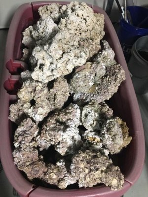Dry Rock.jpg