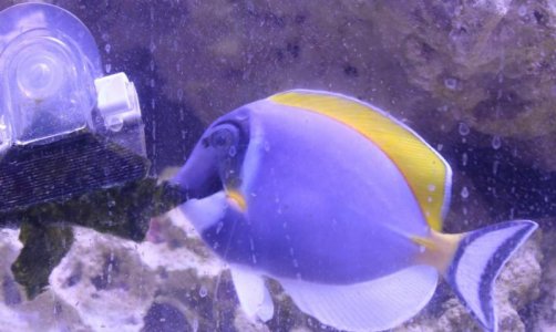 thumbnail (5).jpg