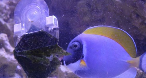 thumbnail (6).jpg
