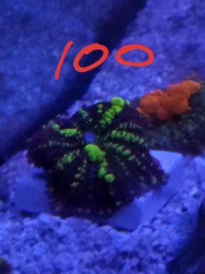 20190326_103812.jpg