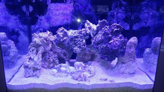 20190328_181843.jpg