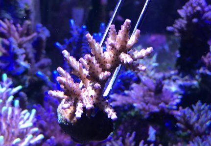 BF8E9849-5E03-41DA-BAA4-50CEF58F6F77.jpg
