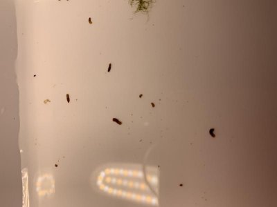 E81BA0B4-06AB-4CF4-9535-1BC8AC0E591F.jpg