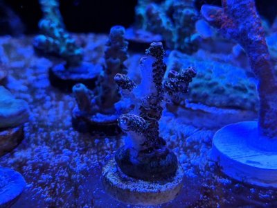 IMG_20190408_122148_01.jpg
