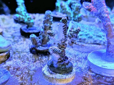 IMG_20190408_122148_01.jpg