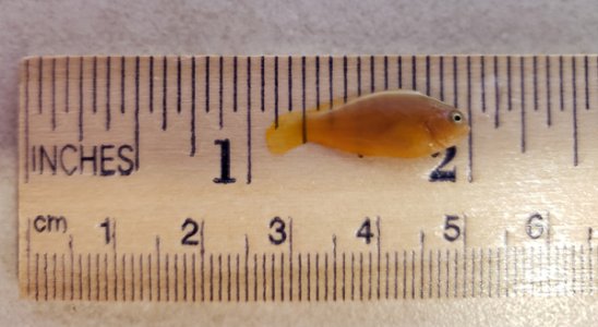 20190407_182248 small.jpg