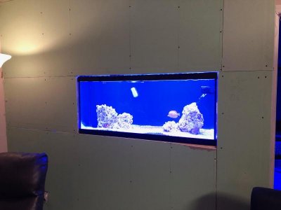 IMG_0907.jpg