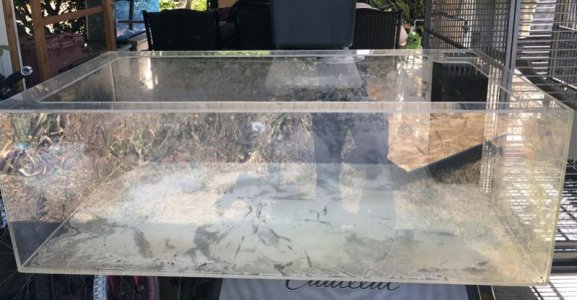 reeftank001.jpg