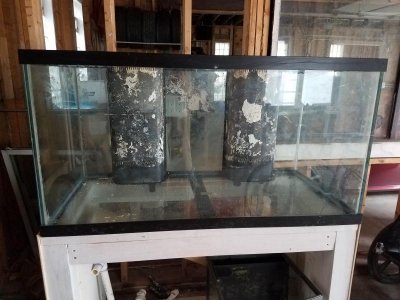 Tank1.jpg