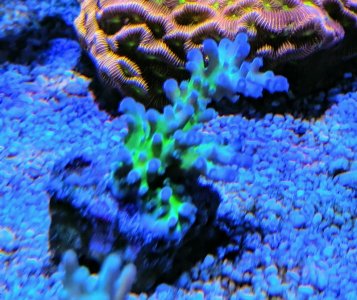 IMG_20190831_133606.jpg