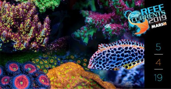Reef_Currents_May4_2019.jpg