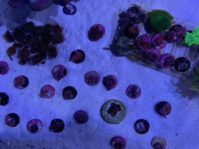 IMG_0319.jpg