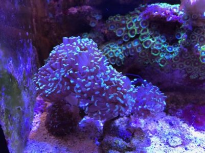A7B32AE5-A915-4B00-8C9A-23ED825B6AF4.jpg