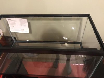 IMG_0447.jpg
