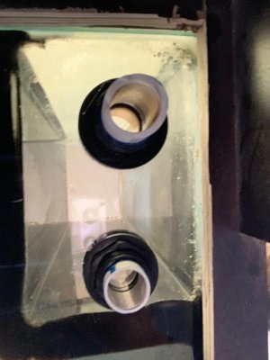 thumbnail_IMG_2156.jpg