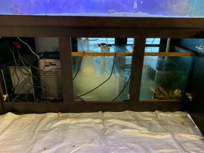 thumbnail_IMG_2166.jpg