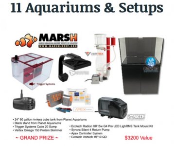 Set-ups1_Grand_Prize_60.jpg