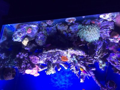 IMG_4461.jpg