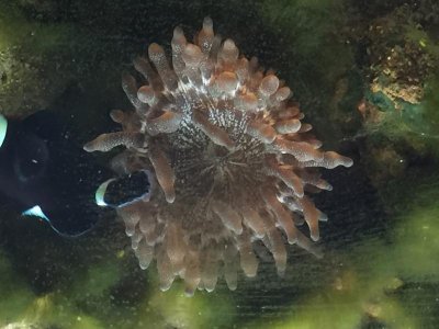 12E636CB-EBED-4ED1-BCFA-7F83F0E2BF04.jpg