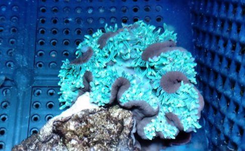 2019-04-26 22.52.04060.jpg