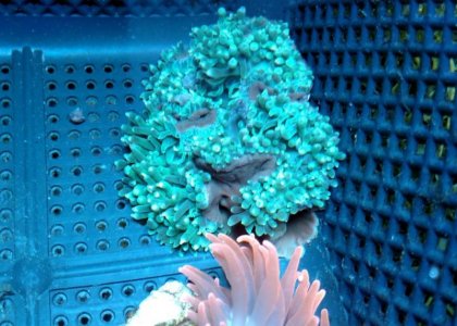 2019-04-27 16.47.23802.jpg