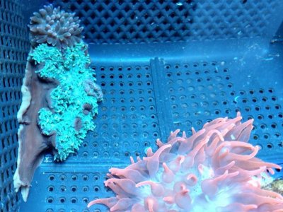 2019-04-28 13.35.31969_HDR.jpg