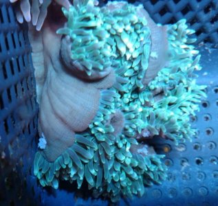 2019-04-29 21.25.16599.jpg