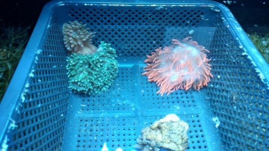 2019-04-30 22.09.33610_HDR.jpg