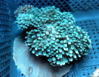 2019-05-01 22.43.27458.jpg