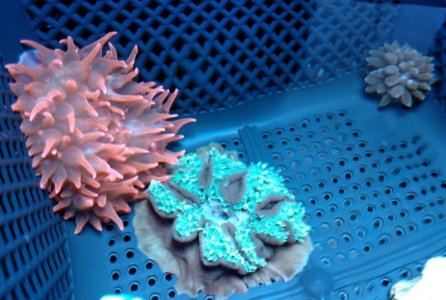 2019-05-04 10.25.03115.jpg