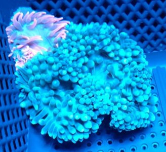 2019-05-04 20.41.11203.jpg