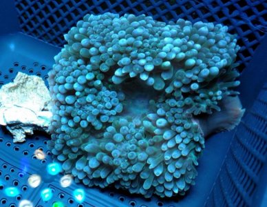 2019-05-05 10.48.33011.jpg