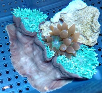 2019-05-05 18.24.59848_HDR.jpg