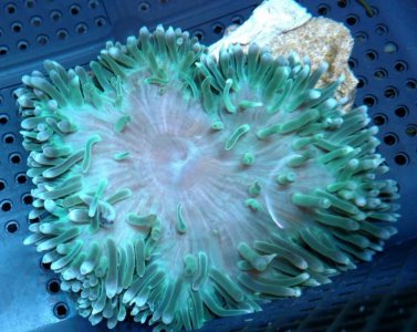 2019-05-05 20.02.35656.jpg