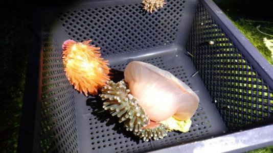 2019-05-06 07.43.48964.jpg