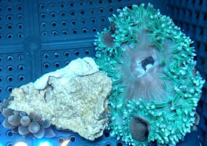 2019-05-06 22.59.35101_HDR.jpg