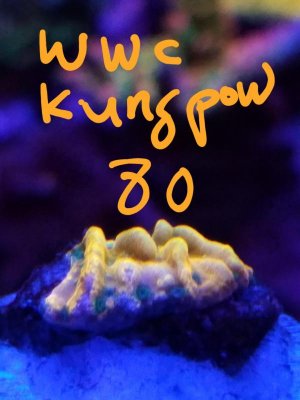 thumbnail.jpg