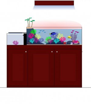 80 GALLON AQUARIUM BUILD.jpg