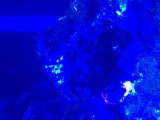 IMG_0623.JPG