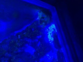 IMG_0627.JPG