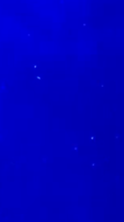 Image-1.png
